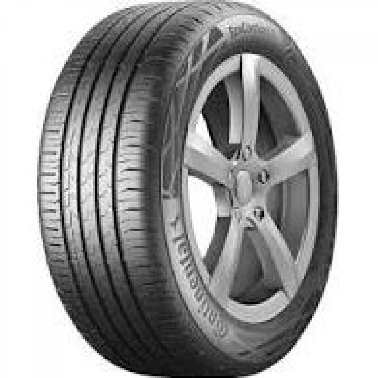 205/55 R16 ECOCONTACT6 91V (Szgk.nyári abroncs)